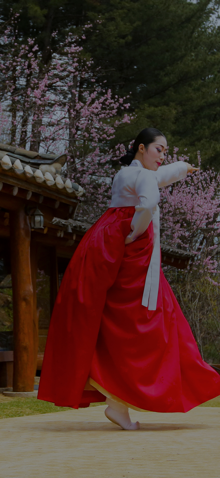 한국 전통 문화를 알리는 사람들